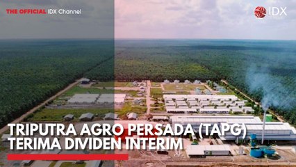 Triputra Agro Persada (TAPG) Terima Dividen Interim