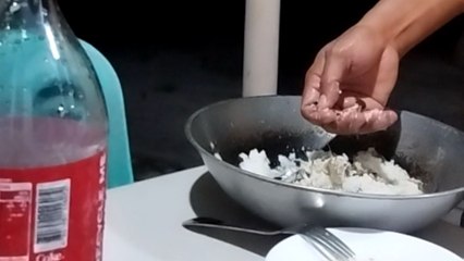 Aspin dog jumps high as she anticipates what her next meal will be