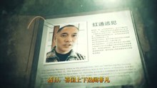 “红通犯”吹嘘卖弄皆为骗，农场主争相效仿自立为“亡”