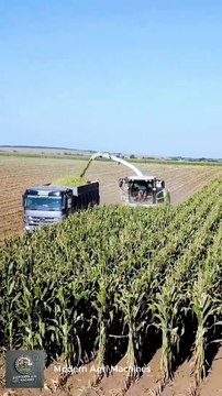 Agricultural Machinery