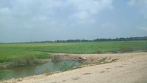 BADIN SINDH PAKISTAN