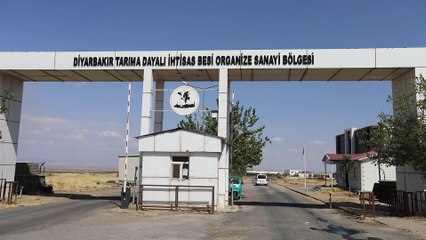 Diyarbakır’da hayvan üssünde artan maliyetler dengeyi bozdu