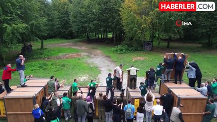 Ormanya'da Kızıl Geyikler Doğaya Salındı