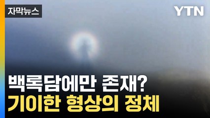 [자막뉴스] "귀신?" "요괴?" 한라산 정상서 찍힌 정체 알고 보니... / YTN