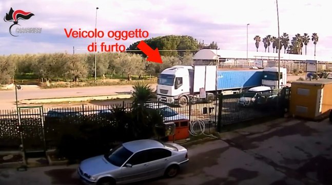 Furti di veicoli e riciclaggio: 6 arresti in operazione Raptor dei Carabinieri (20.09.24)