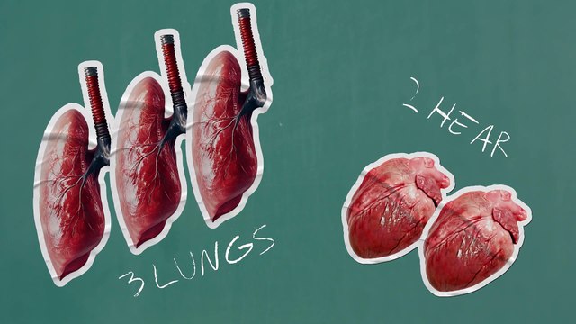 Warhammer 40,000 Space Marine 2 - What is a Space Marine