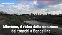 Alluvione, il video della rimozione dei tronchi a Boncellino