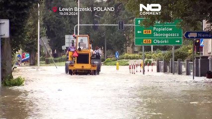 Polonya'nın Lewin Brzeski kasabası sel felaketi ile mücadele ediyor