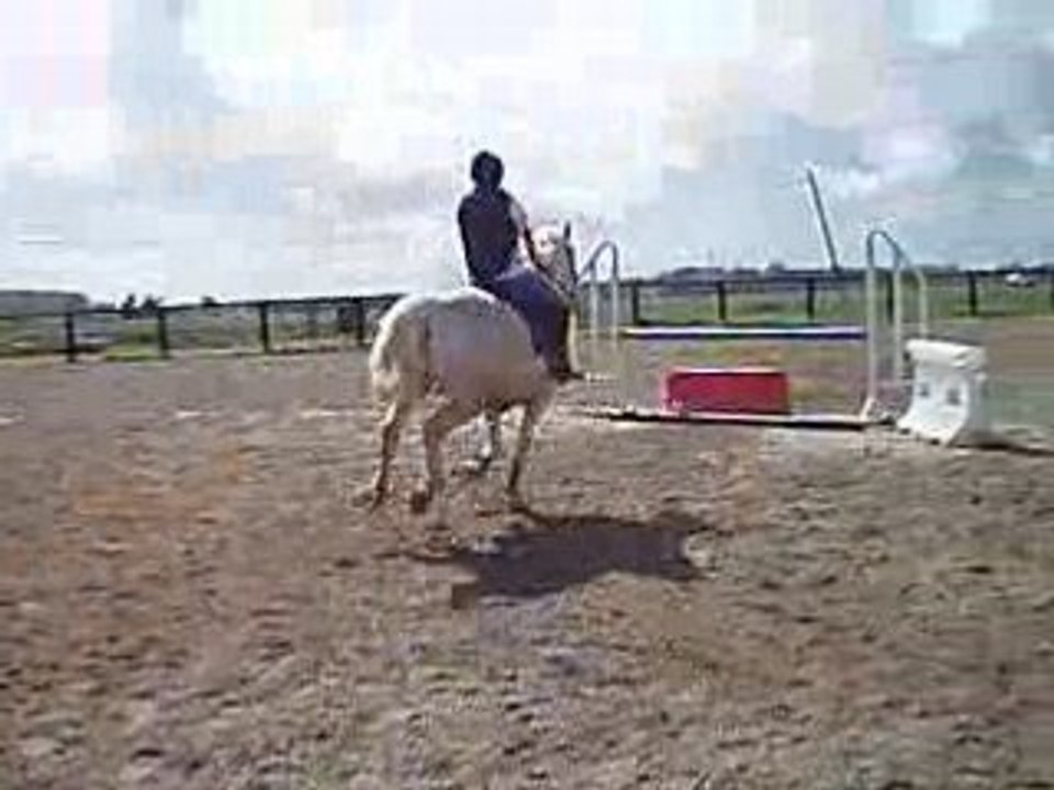 coco et tanka