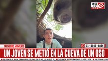 Se metió a la cueva de un oso y no lo pasó nada bien. Mirá el video