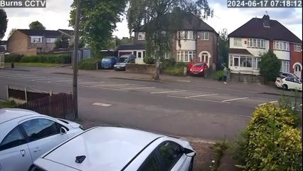 Thug viciously kicks dog 'in the way' of his house