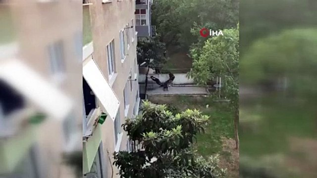 İstanbul'un Göbeğinde Pitbull Dehşeti! Saldırı Anı Cep Telefonu Kamerasına Yansıdı