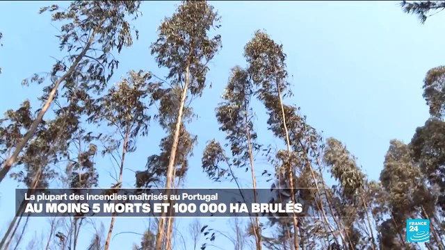 Incendies maîtrisés au Portugal : au moins 5 morts et 100 000 hectares brulés