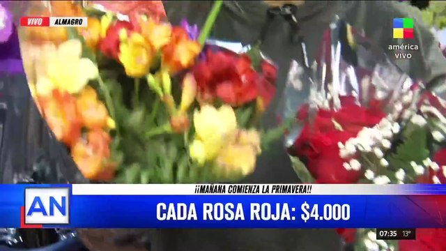 Los precios de las flores para el Día de la Primavera: ¿Qué se puede regalar?