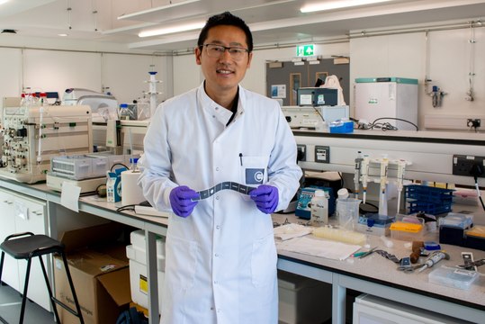 New £1 test using origami paper sensors 'can detect infectious diseases quicker'