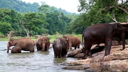 Beautiful Sri Lanka Rural Areas
