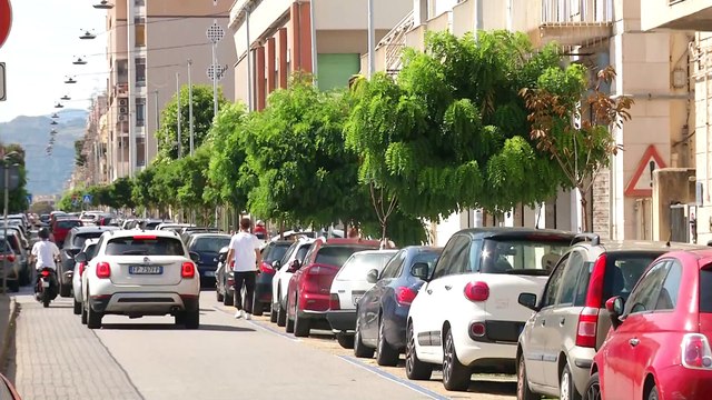 FORESTAME, DA LUNEDI' SOSTITUZIONE DEGLI ALBERI SECCHI