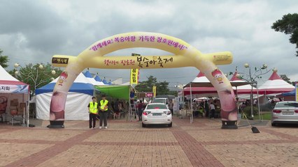 [경기] 이천 '햇사레 장호원 복숭아 축제' 개막...22일까지 / YTN