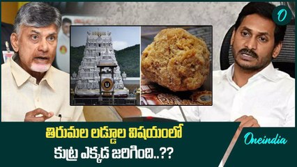 Tirumala Laddu విషయంలో భక్తుల ఆగ్రహం.. ఇంతటి దారుణాలు ఎలా..? | Oneindia Telugu