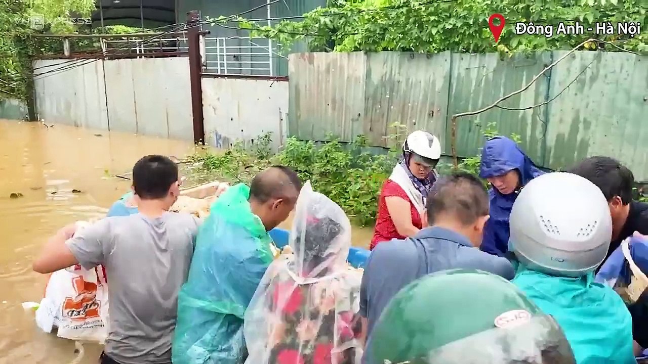 Cứu vật nuôi, giữ tài sản trong lũ