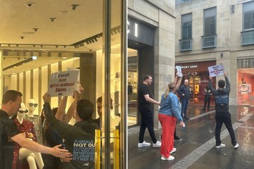 Watch as animal rights protestors disrupt the grand opening of Gucci in Edinburgh