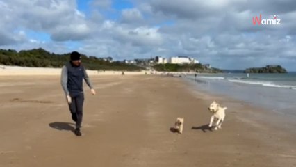 Quand on regarde la vidéo de ce chien fraîchement adopté, il est impossible de deviner son âge !