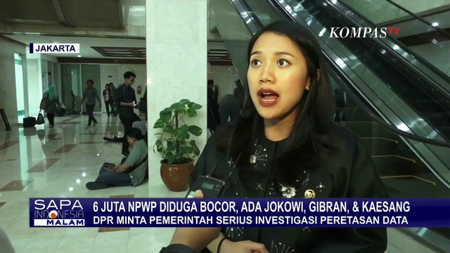 Kebocoran 6 Juta Data NPWP, Anggota DPR Puteri Komarudin Minta Pemerintah Lakukan Investigasi Serius