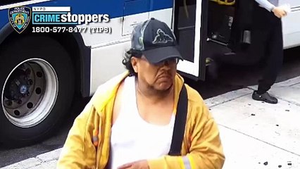 Man with chihuahua wanted for groping girls, 11, on Queens bus