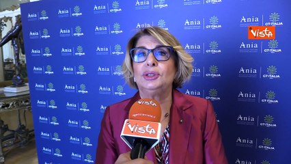 Farina (Ania): "Per far fronte a rischi e catastrofi serve collaborazione tra pubblico e privato"