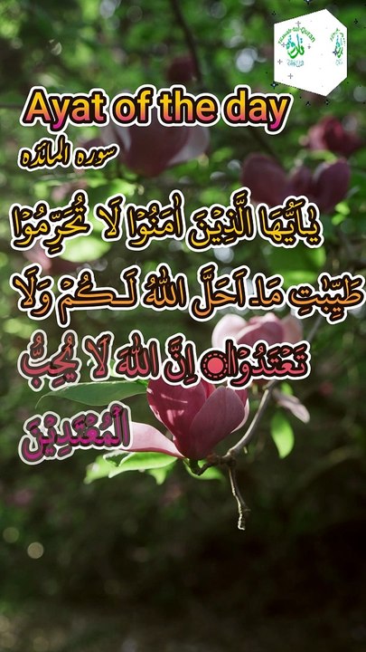 Ayat of the day 1 | Surah Al-Maidah ayat 78 | Qari Abdul Basit #shorts #shortvideos