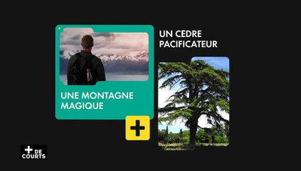 + DE COURTS Teaser 22 septembre 2024