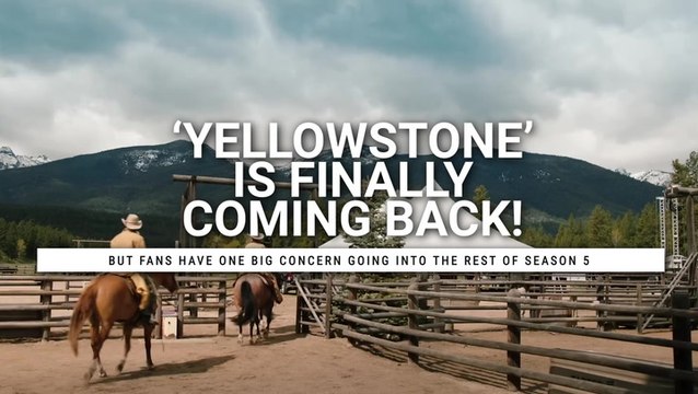 After Cole Hauser Dropped His Post About 'Yellowstone' Season 5, Fans Are All Making The Same Two Points