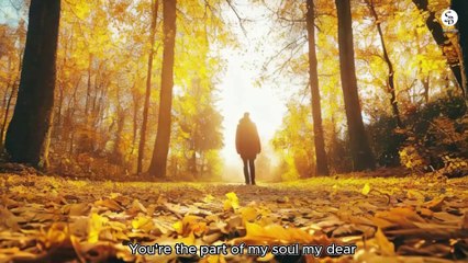 Petals of love Bridge across hearts | English love song | English song with lyrics | Sonic Bliss