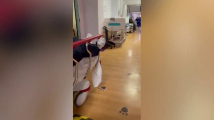 Patients wait on trolley beds in hospital corridor