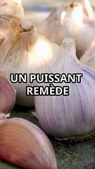 Les Bienfaits de l'Infusion à l'Ail 