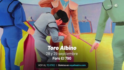 Cartelera Voy al Teatro | 20 de septiembre 2024