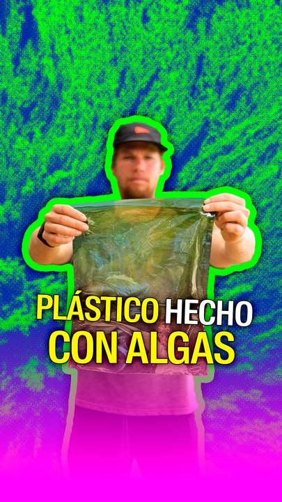 Plástico hecho con algas