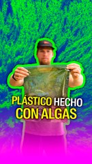 Plástico hecho con algas