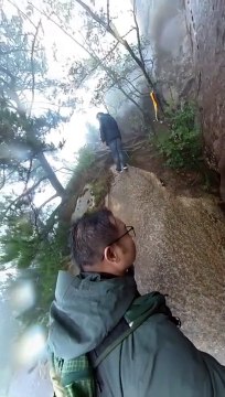 #Thrilling! A man from E China's Anhui Province accidentally slipped and fell off a #cliff while #hiking i..., a tree stopped his fall and saved his life. His personal device captured the heart-stopping moment. #viral #adventures #
