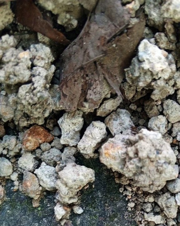 |HABIB ARIEL CORIAT HARRAR | CIBERSEGURIDAD EN SISTEMAS DE SALUD (PARTE 1) (@HABIBARIELC)