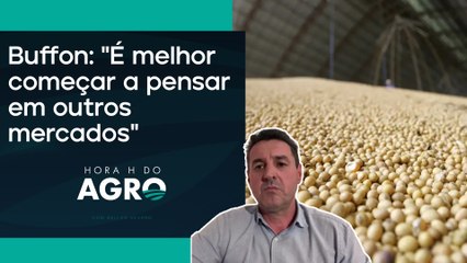 Lei ESG da Europa punirá o Brasil; veja como! | HORA H DO AGRO