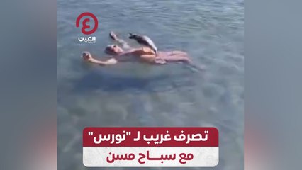 تصرف غريب لـ”نورس” مع سباح مسن