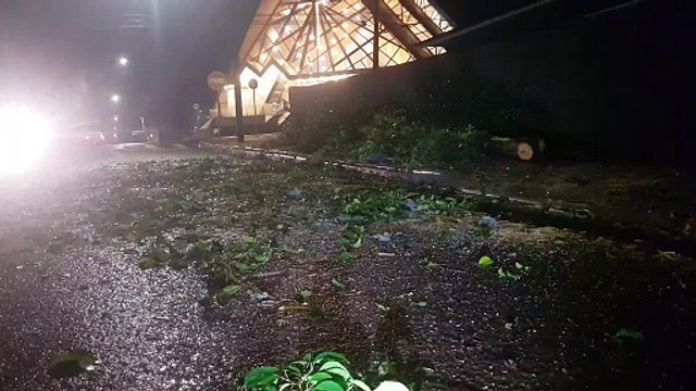 Tempo chuvoso causa transtornos: galho de árvore se desprende e cai no Bairro Cancelli