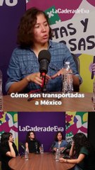 Los descubrimientos de la serie documental El Portal