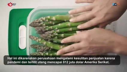 Tupperware Akhirnya Bangkrut