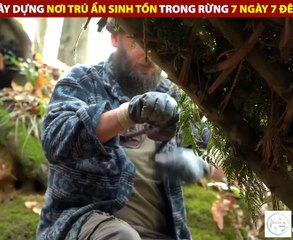 Xây Dựng Nơi Trú Ẩn Sinh Tồn Trong Rừng 7 Ngày 7 Đêm - Review Giải Trí Đời Sống