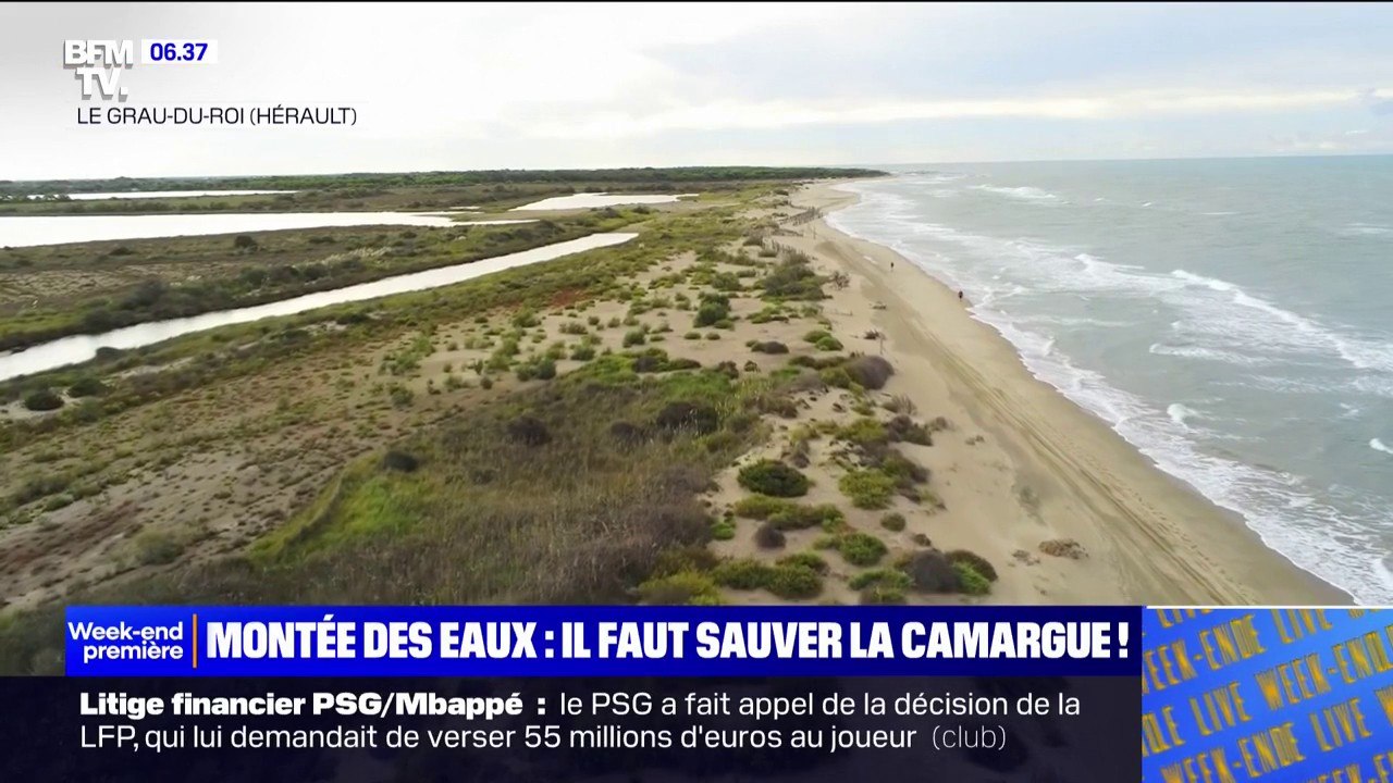 La Camargue menacée par l'inexorable montée des eaux et l'accélération de l'érosion