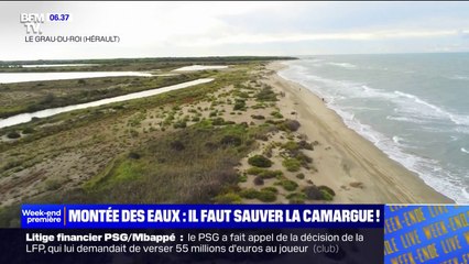La Camargue menacée par l'inexorable montée des eaux et l'accélération de l'érosion