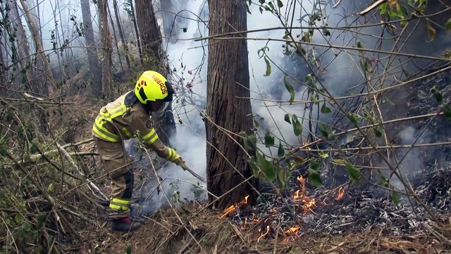 Incendios forestales en Colombia siguen fuera de control y arrasan 9.000 hectáreas