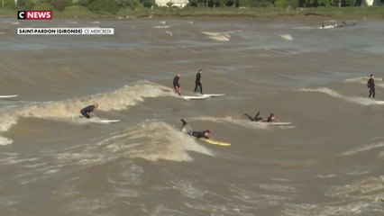 Gironde : la vague du Mascaret attire les touristes